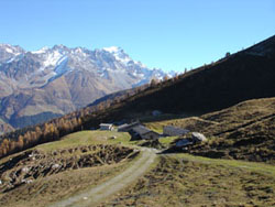 Alpage De Bavon